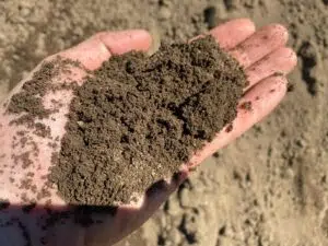 Topsoil supplies
