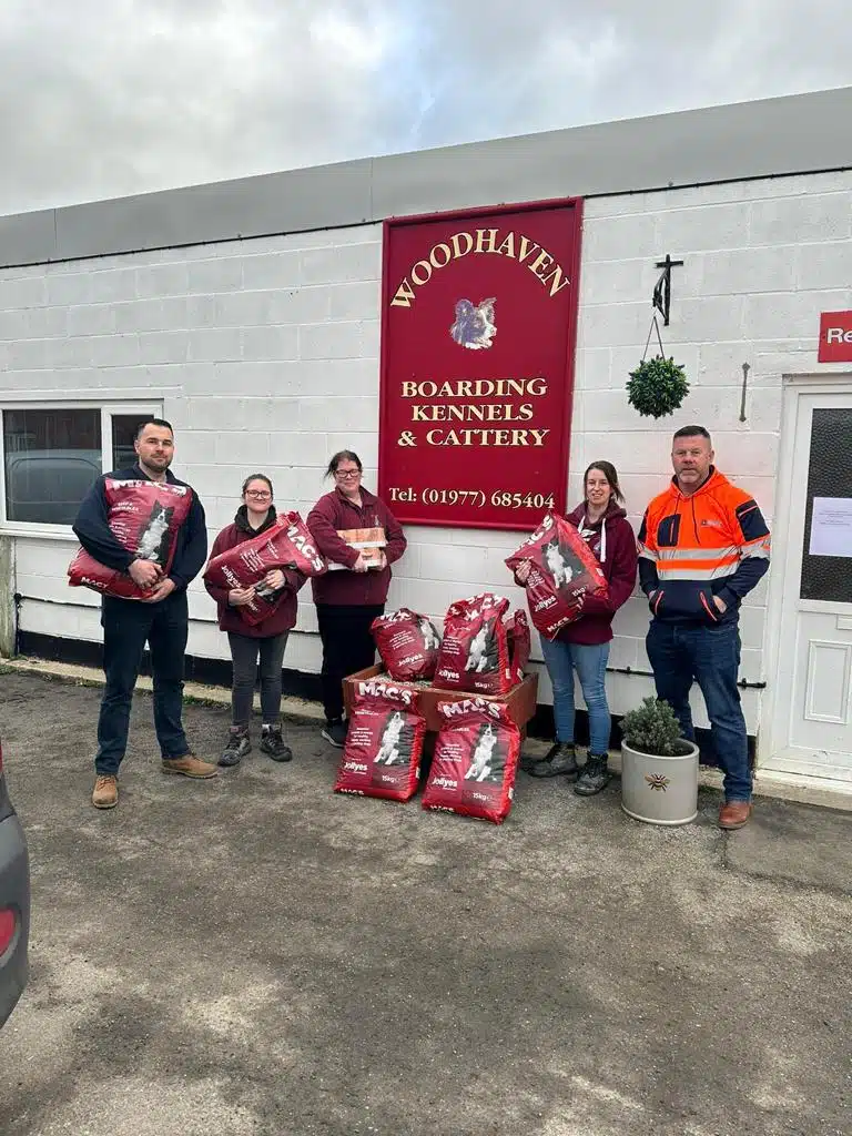 Woodhaven cattery rescue